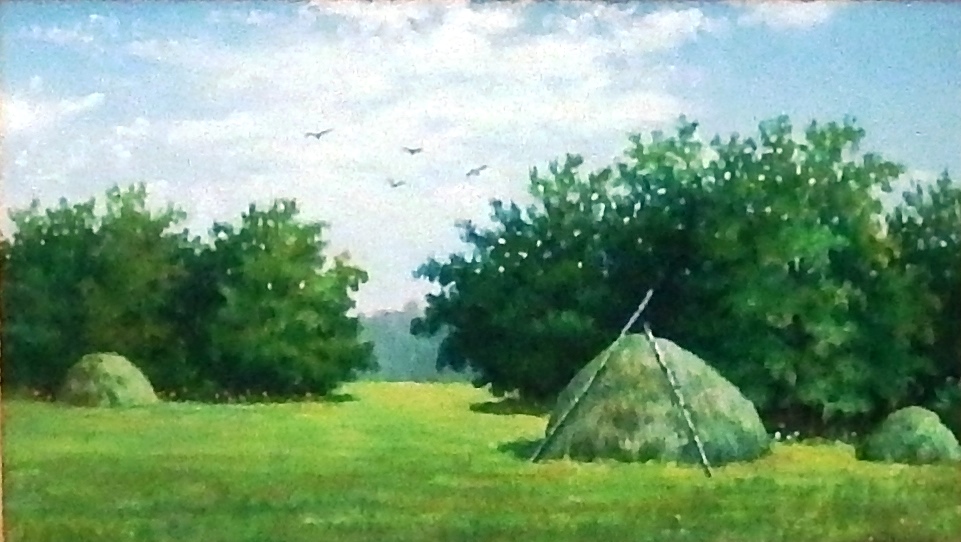 DSCF6233